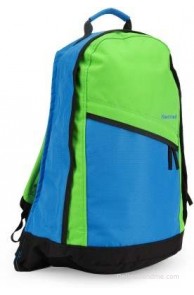 Fastrack 15 inch Laptop Backpack(Green)